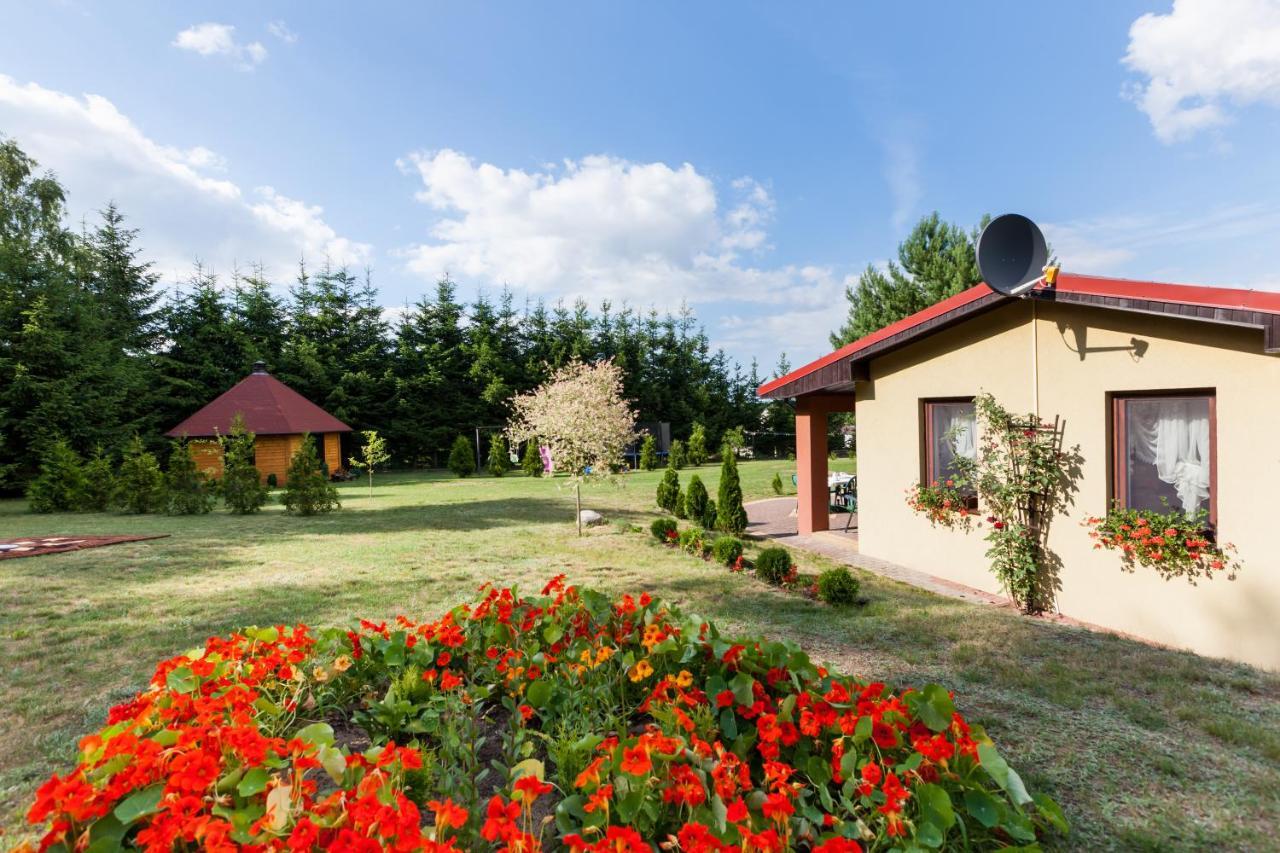 Villa Pod Brzoza Dargobądz Exterior foto